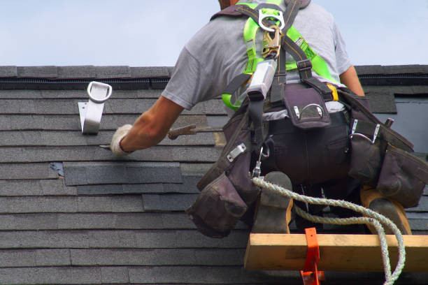 Best Storm Damage Roof Repair  in Laupahoehoe, HI