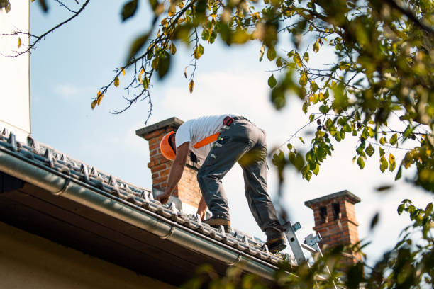 Professional Roofing Contractor in Laupahoehoe, HI