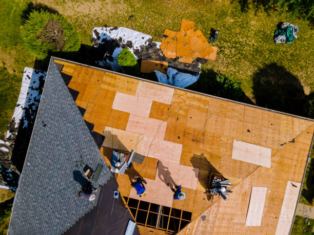Best Commercial Roofing Services  in Laupahoehoe, HI