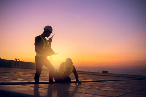 Best Metal Roofing Contractor  in Laupahoehoe, HI