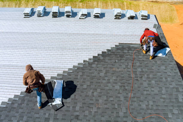 Best Roof Gutter Cleaning  in Laupahoehoe, HI