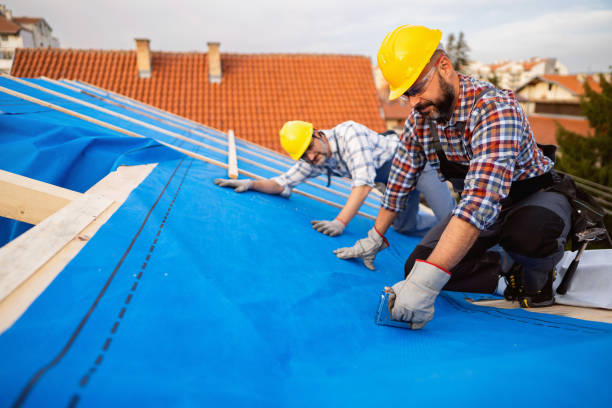 Best Roof Gutter Cleaning  in Laupahoehoe, HI