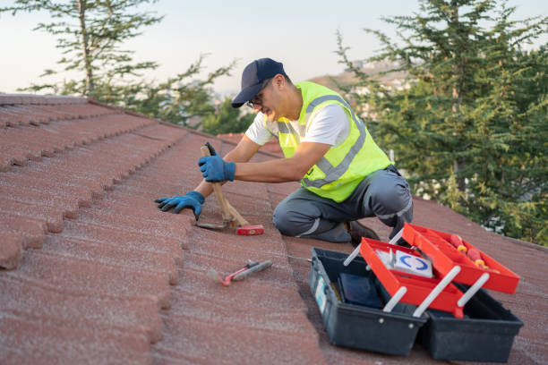 Best Emergency Roof Repair  in Laupahoehoe, HI
