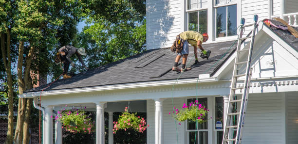 Best Shingle Roofing Installation  in Laupahoehoe, HI